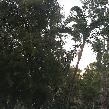 Green Paradise Leona Vicario Ngoại thất bức ảnh