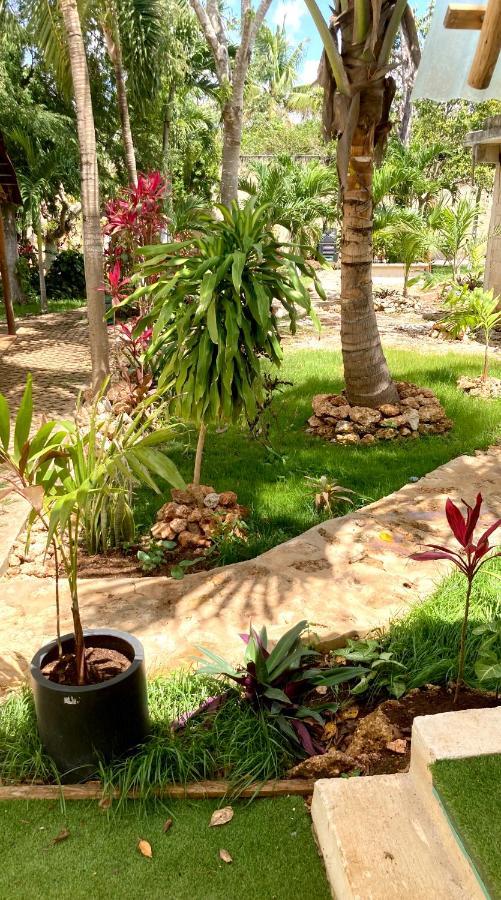 Green Paradise Leona Vicario Ngoại thất bức ảnh