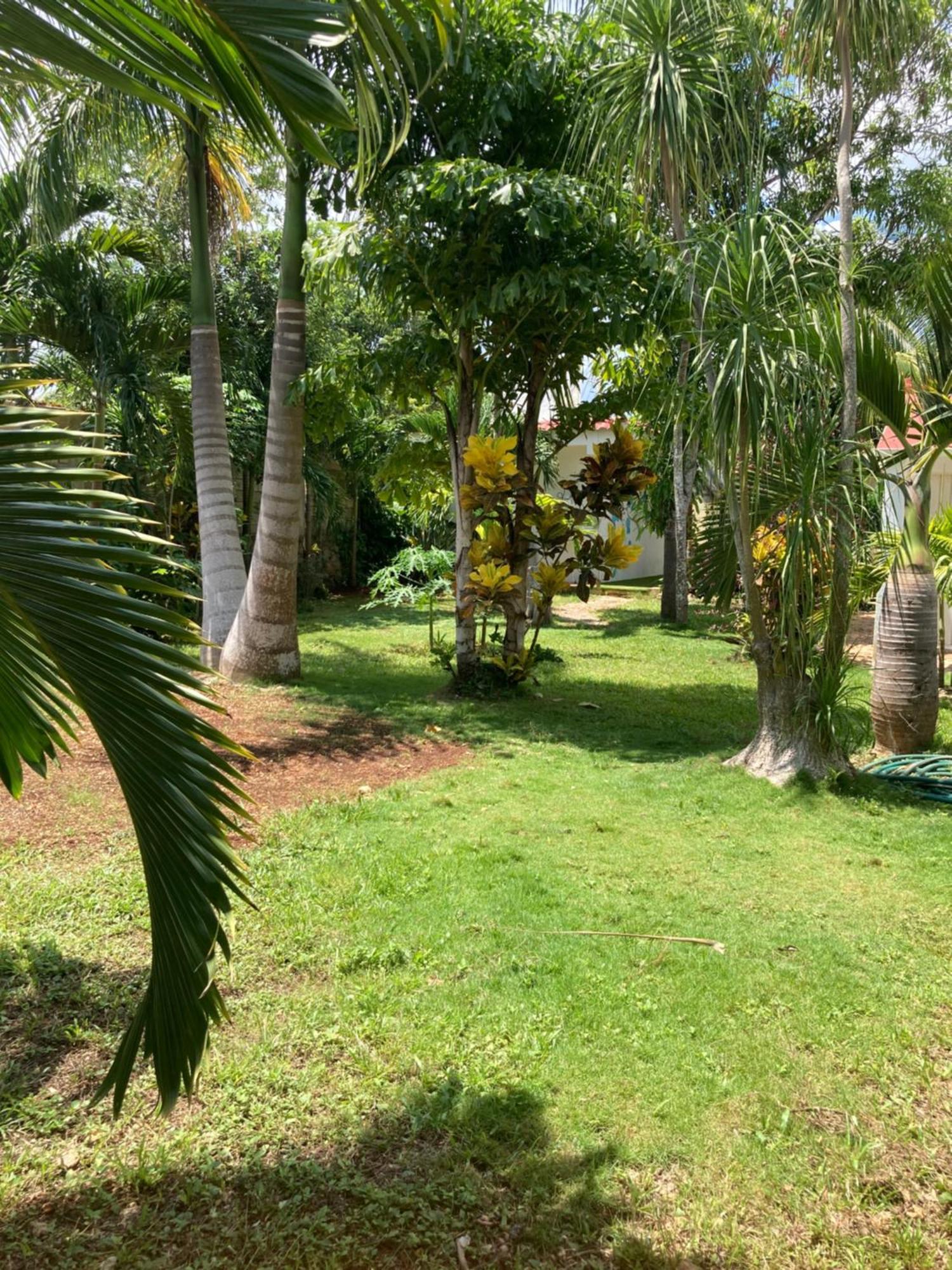 Green Paradise Leona Vicario Ngoại thất bức ảnh