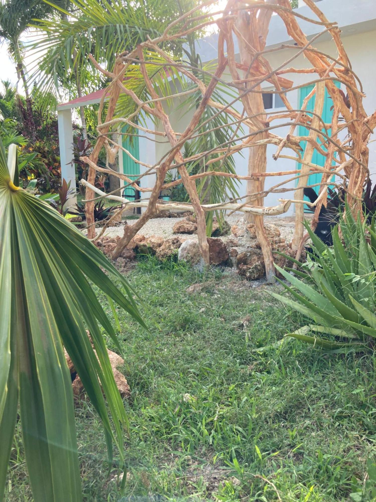 Green Paradise Leona Vicario Ngoại thất bức ảnh