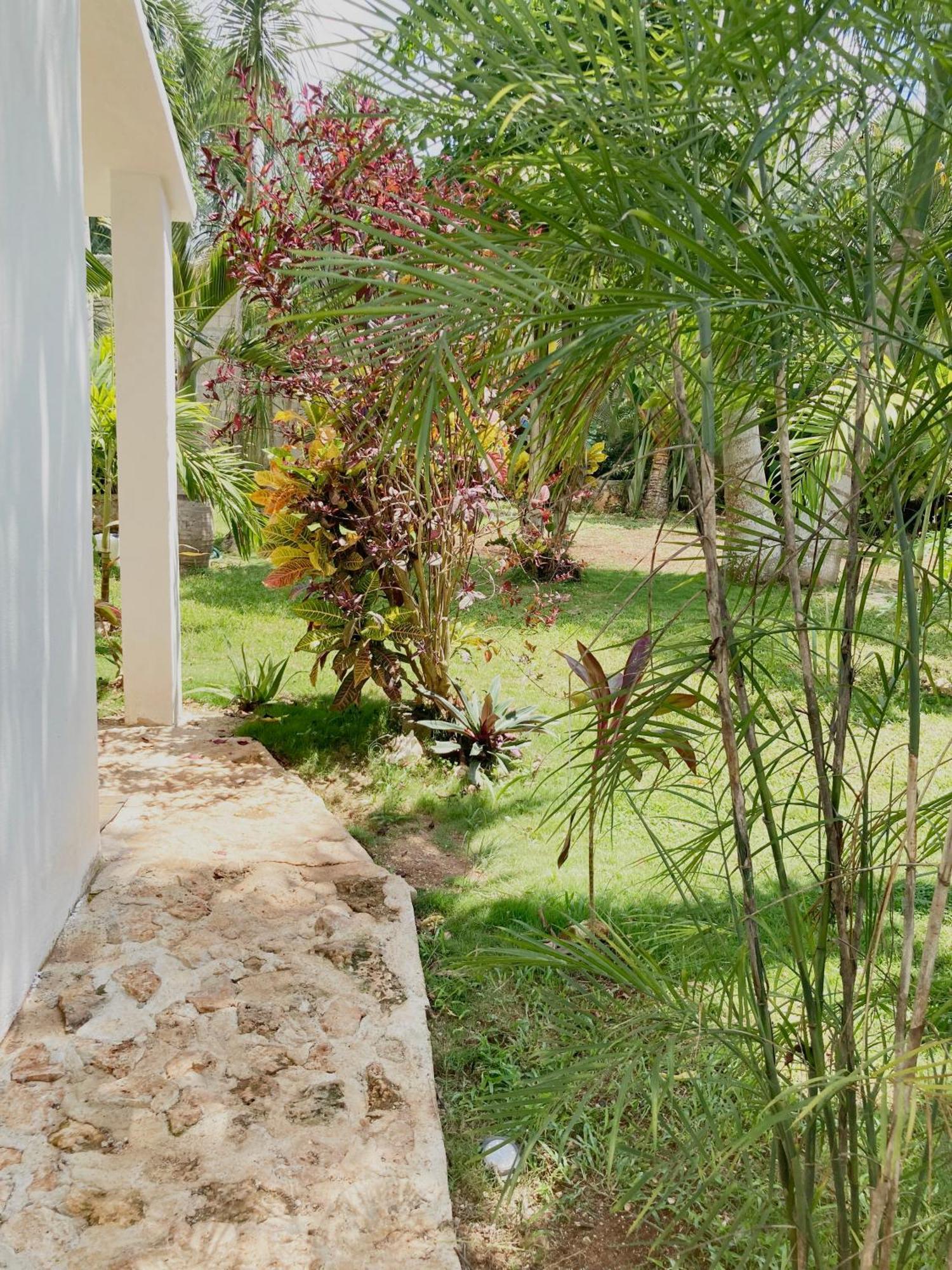 Green Paradise Leona Vicario Ngoại thất bức ảnh
