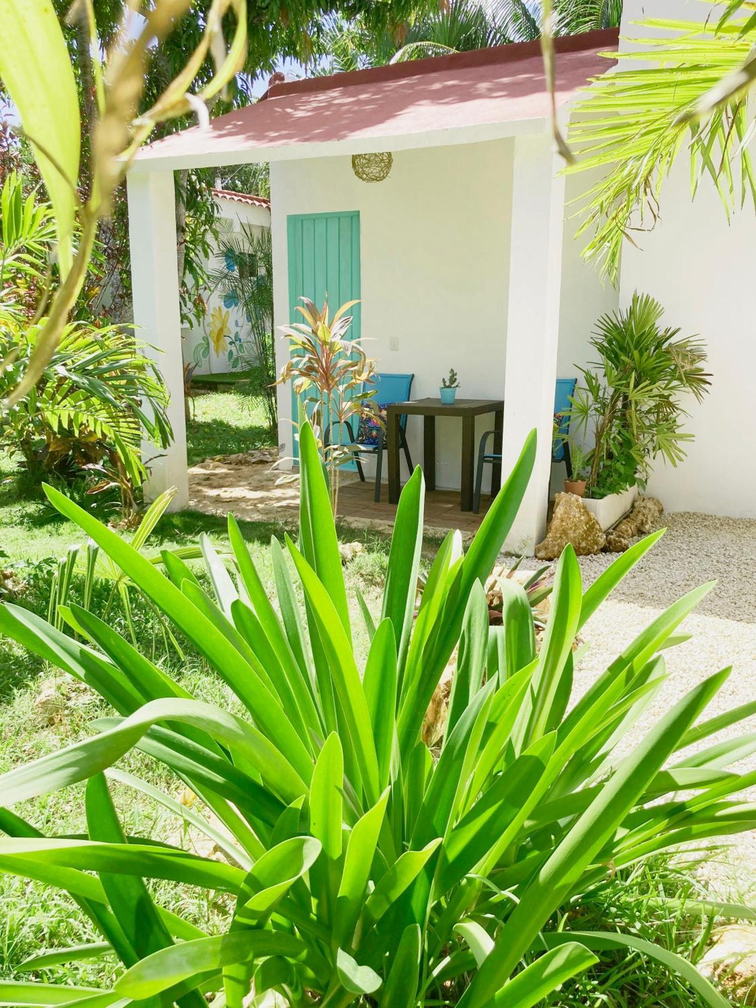 Green Paradise Leona Vicario Ngoại thất bức ảnh