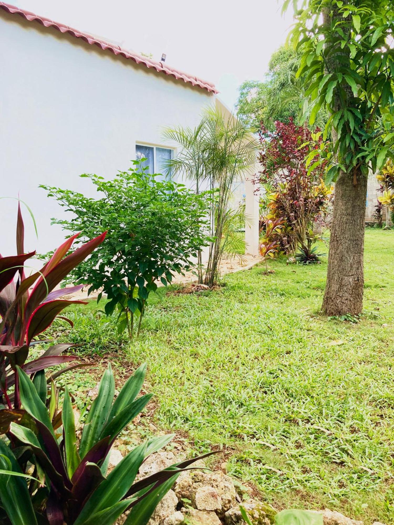 Green Paradise Leona Vicario Ngoại thất bức ảnh