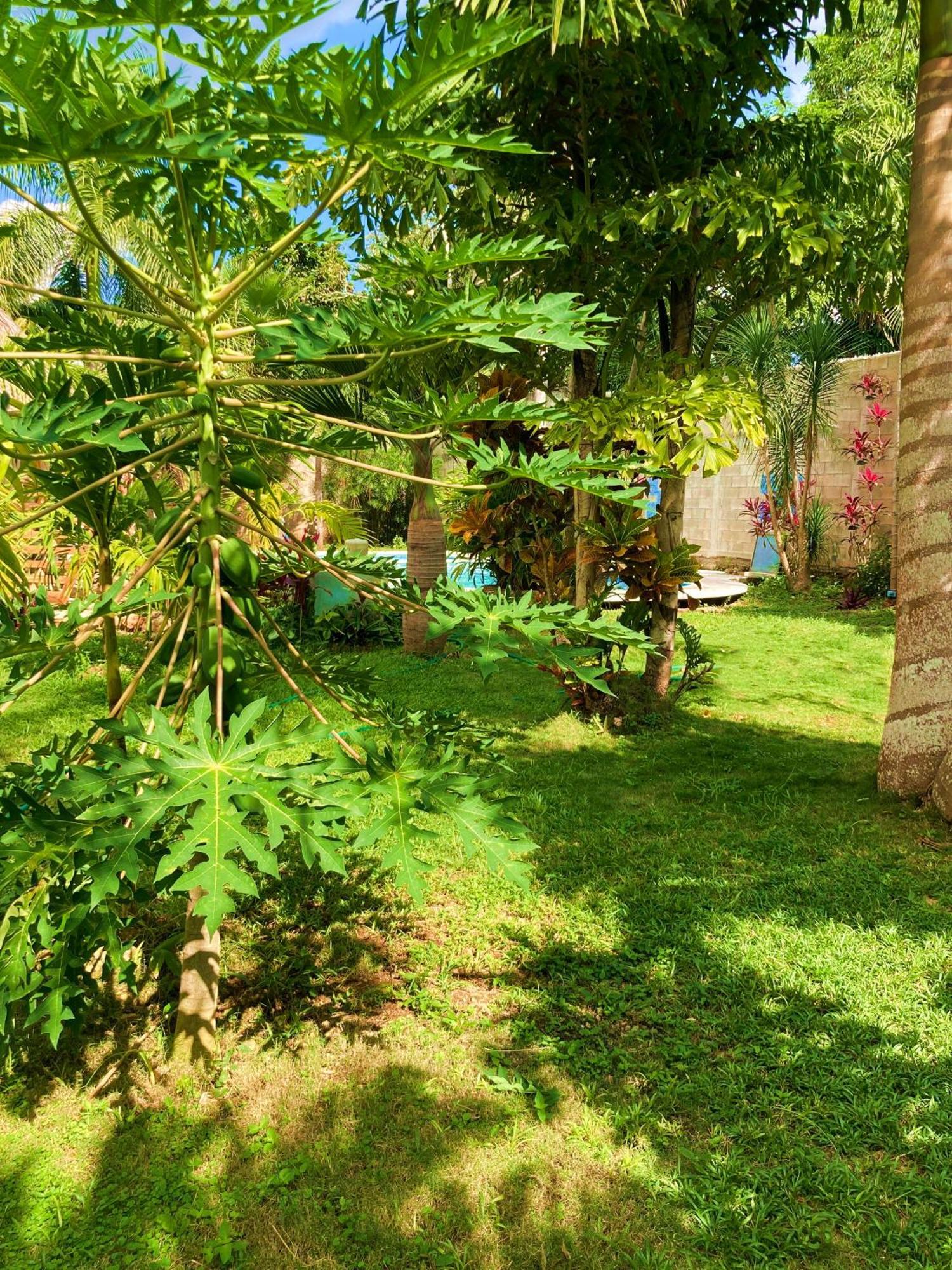 Green Paradise Leona Vicario Ngoại thất bức ảnh