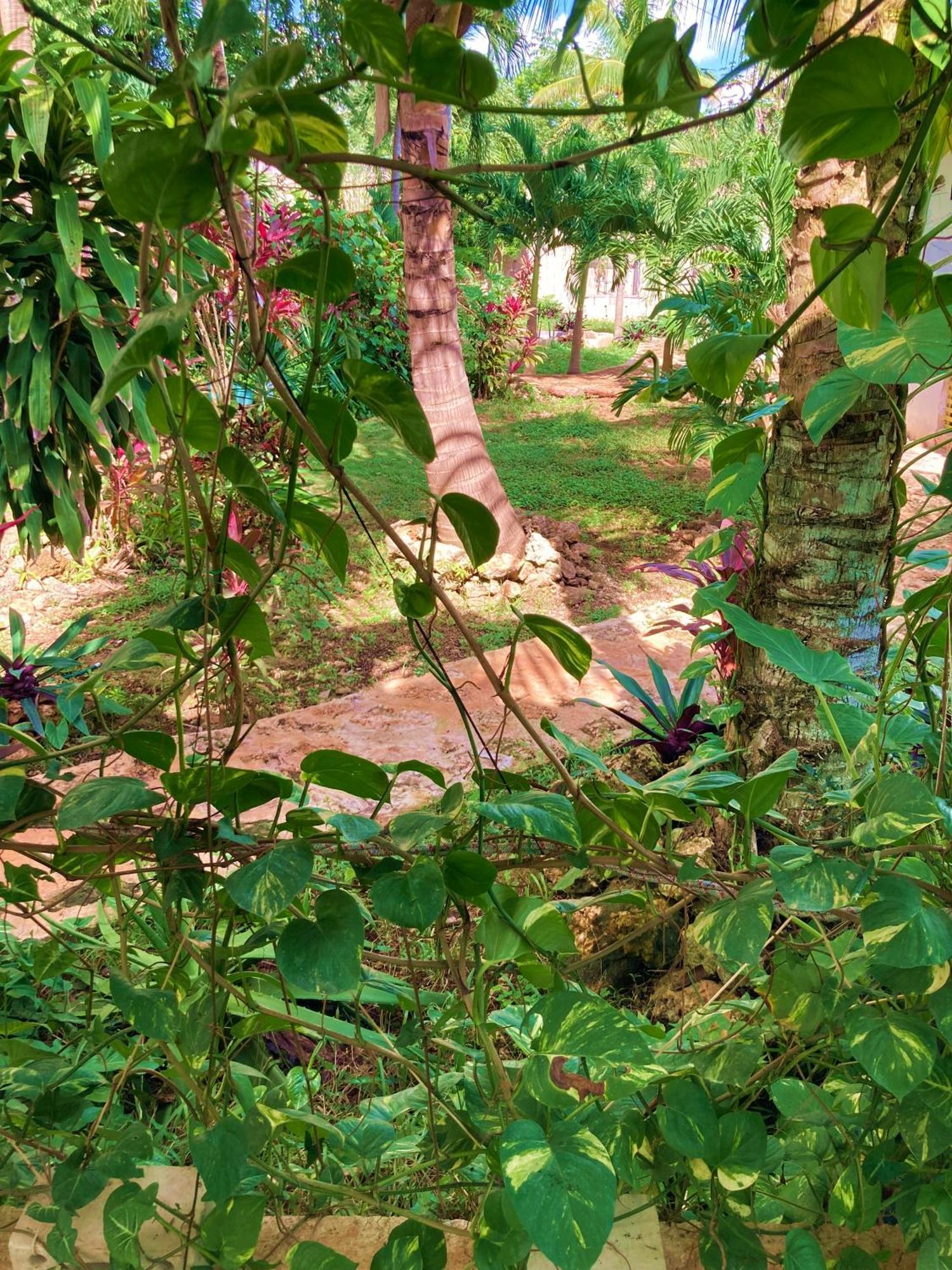 Green Paradise Leona Vicario Ngoại thất bức ảnh