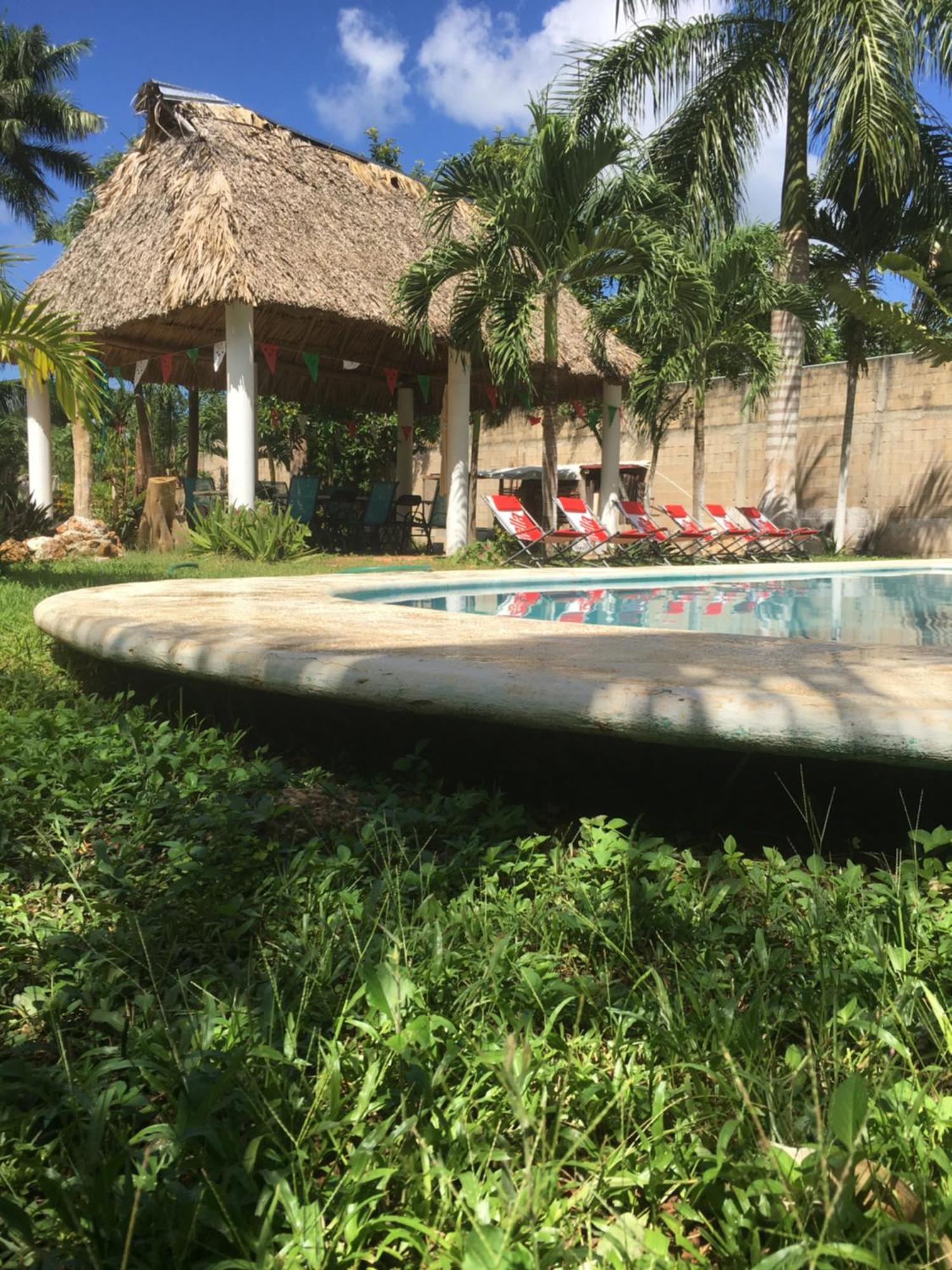 Green Paradise Leona Vicario Ngoại thất bức ảnh