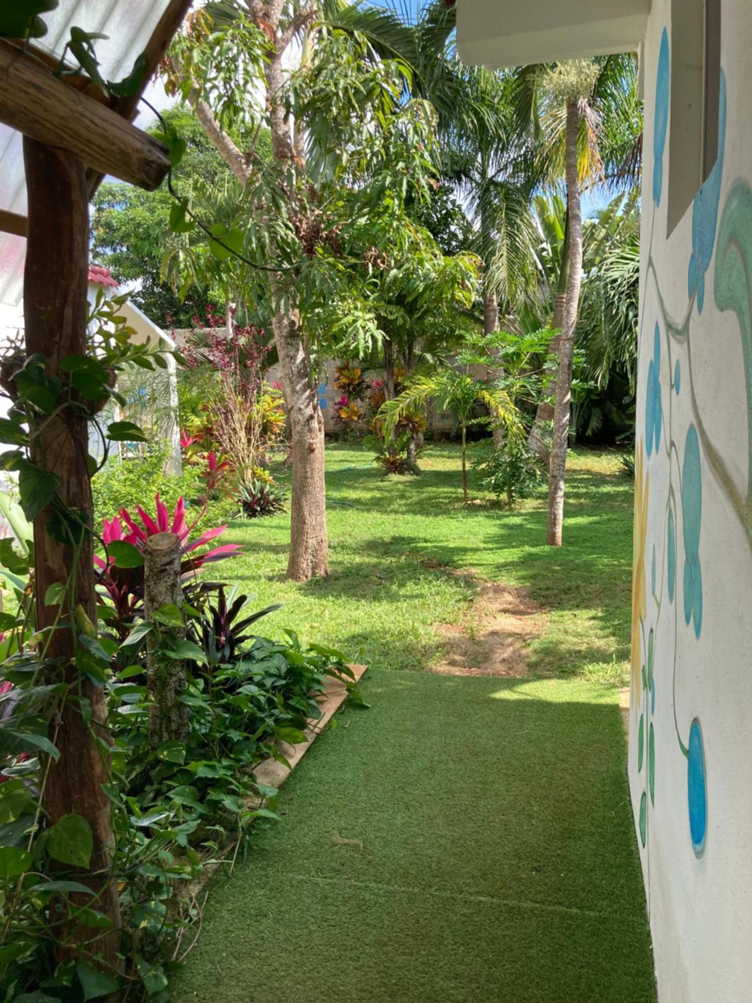 Green Paradise Leona Vicario Ngoại thất bức ảnh
