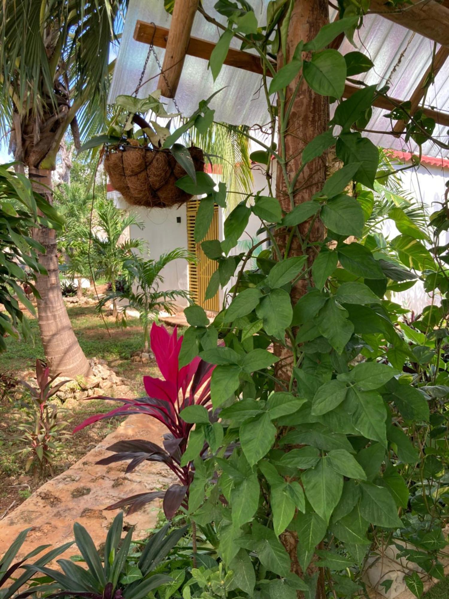 Green Paradise Leona Vicario Ngoại thất bức ảnh