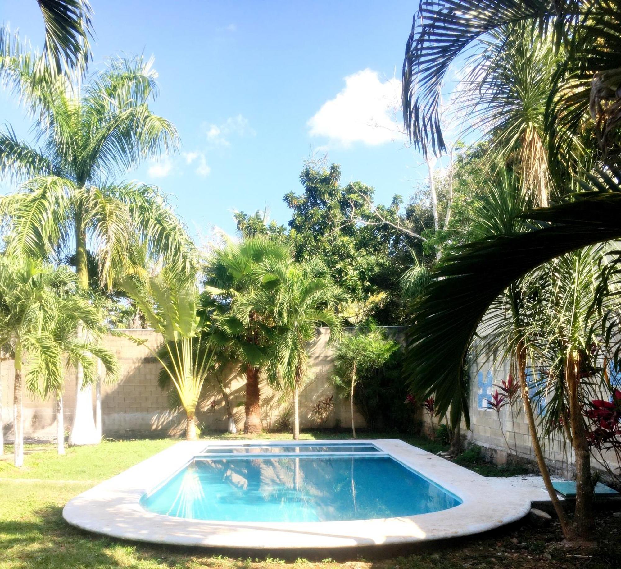 Green Paradise Leona Vicario Ngoại thất bức ảnh
