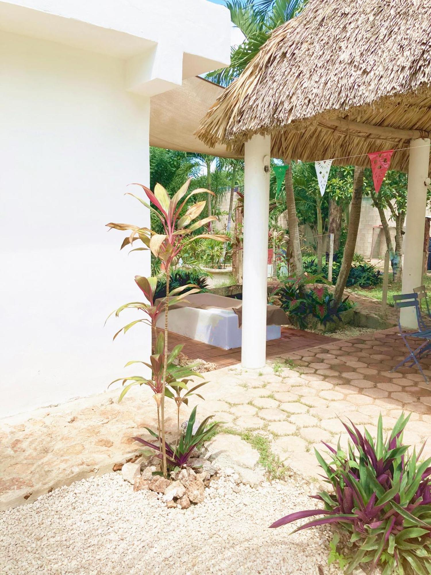 Green Paradise Leona Vicario Ngoại thất bức ảnh
