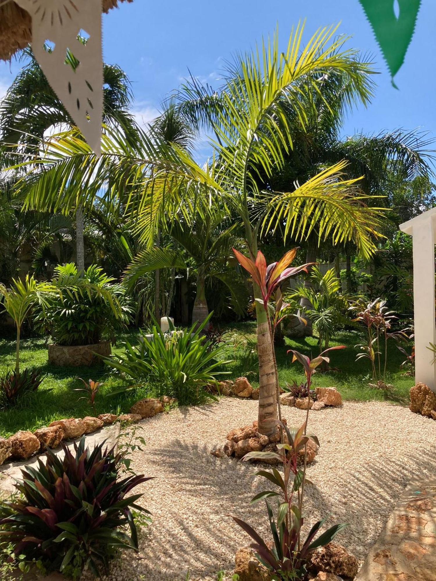 Green Paradise Leona Vicario Ngoại thất bức ảnh