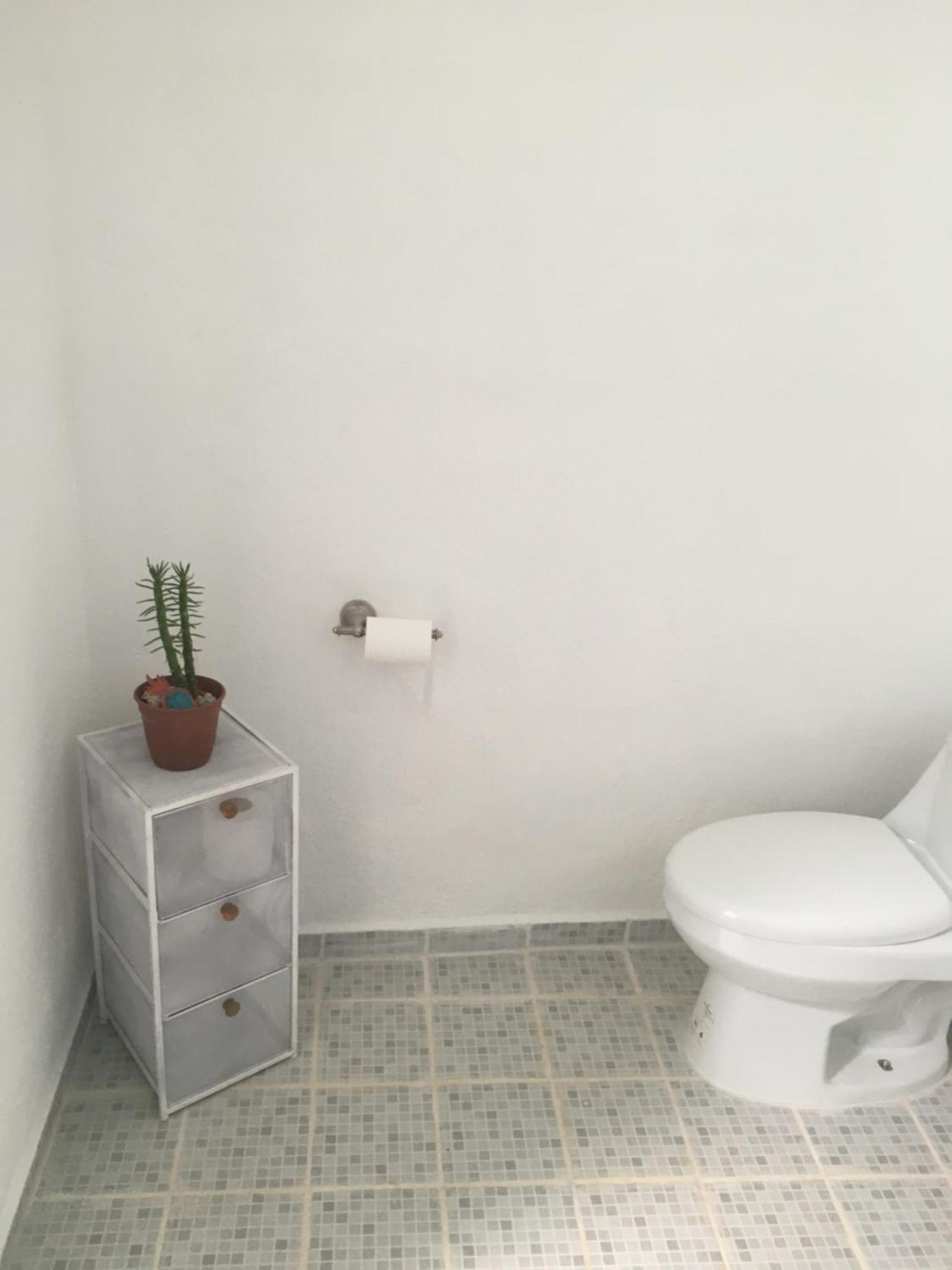 Green Paradise Leona Vicario Ngoại thất bức ảnh