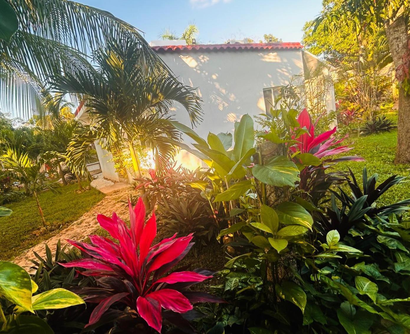 Green Paradise Leona Vicario Ngoại thất bức ảnh