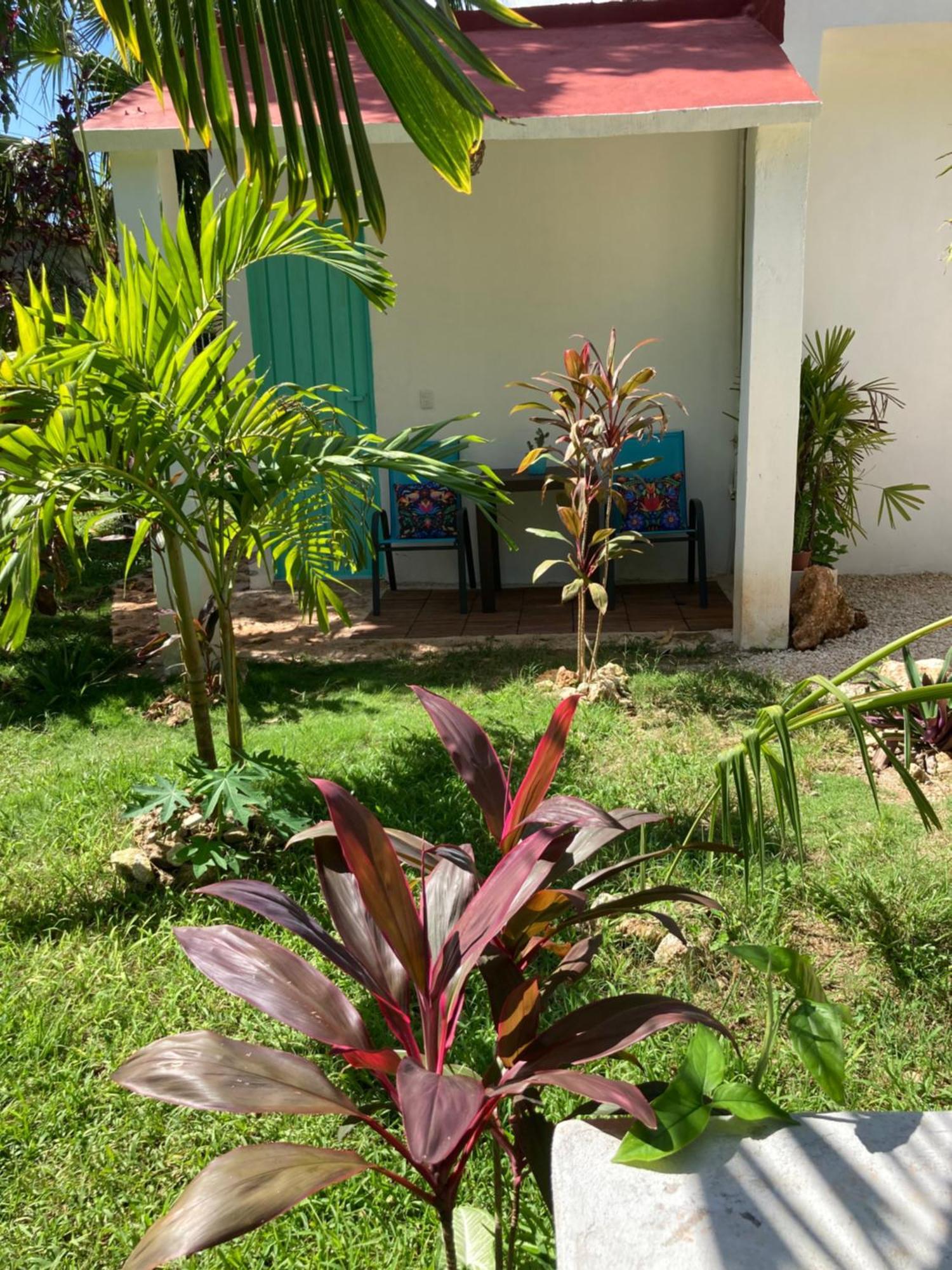 Green Paradise Leona Vicario Ngoại thất bức ảnh