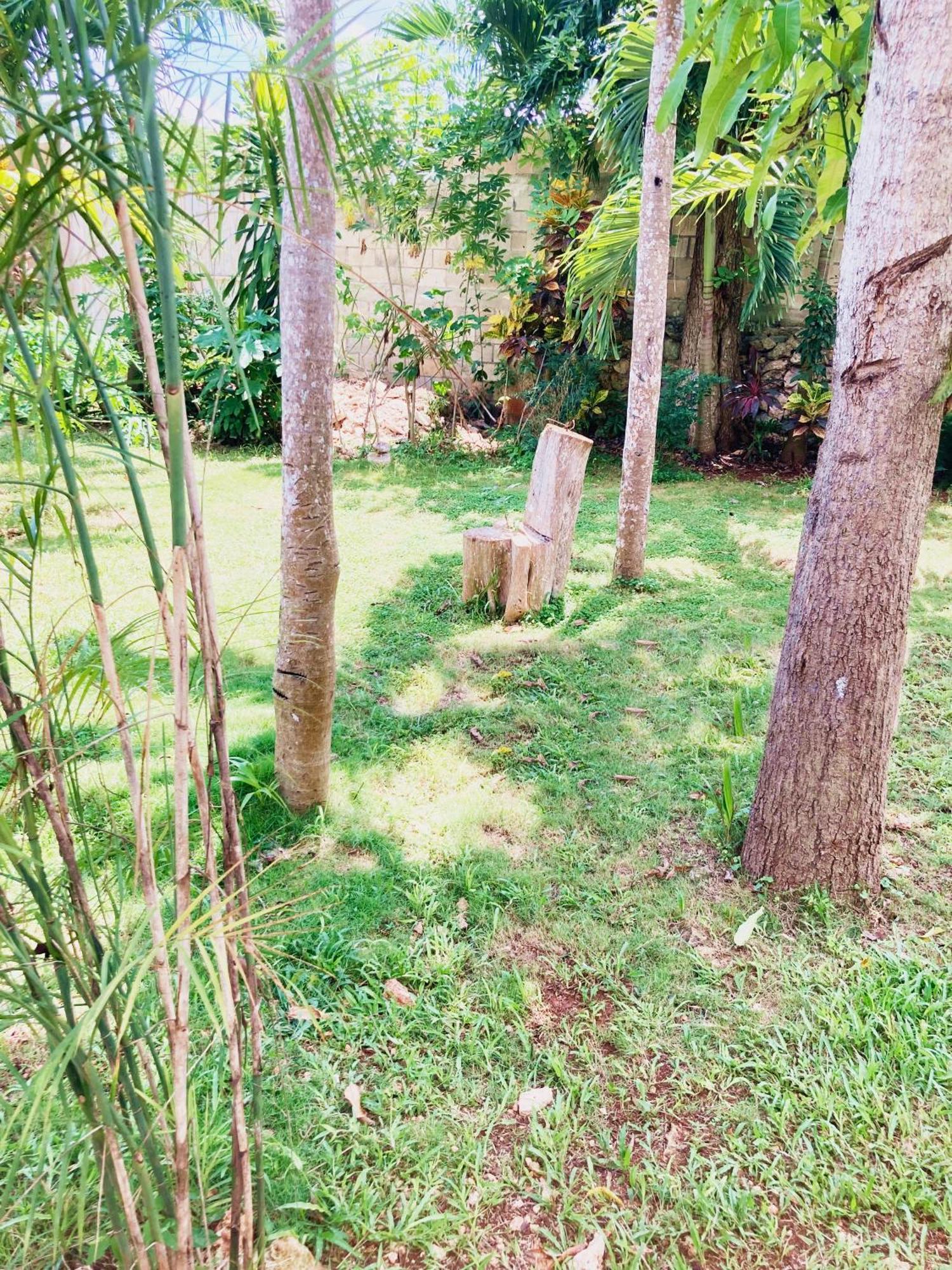 Green Paradise Leona Vicario Ngoại thất bức ảnh