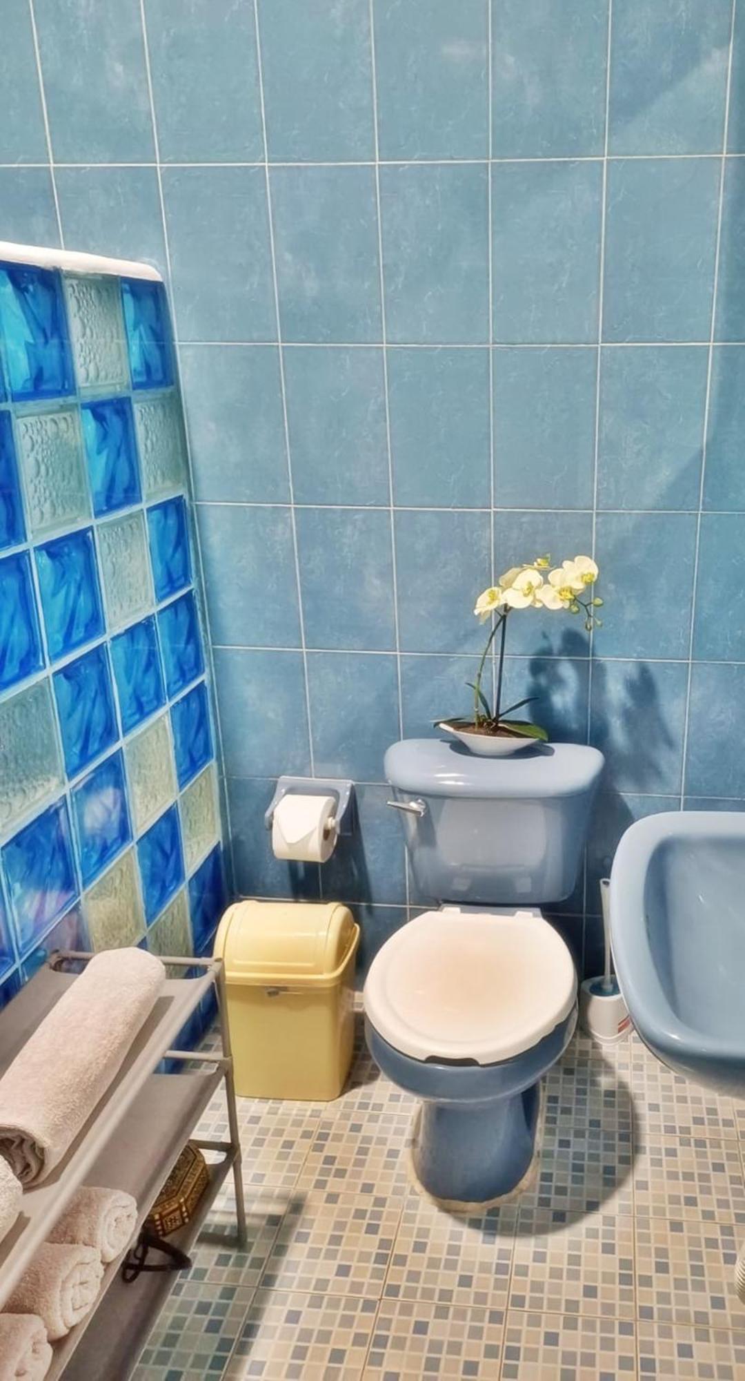 Green Paradise Leona Vicario Ngoại thất bức ảnh
